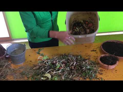 So kompostieren Sie richtig