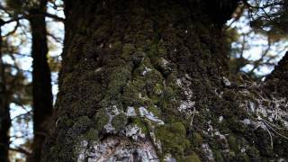 The Good Company - Endless Official Videoclip