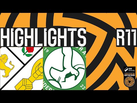 bg-highlight