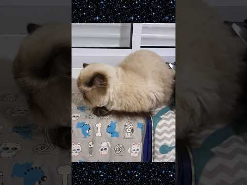 Boa Noite#Planeta Terra#tranquilo