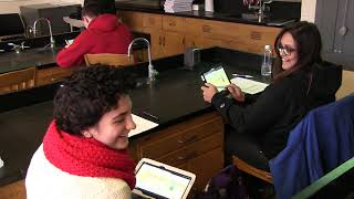 PhET Wave on a String TUteach Mehler