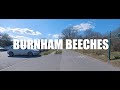 Burnham Beeches | Slough | Part 1 | 4K