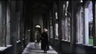 Lucius Million Dollar Man