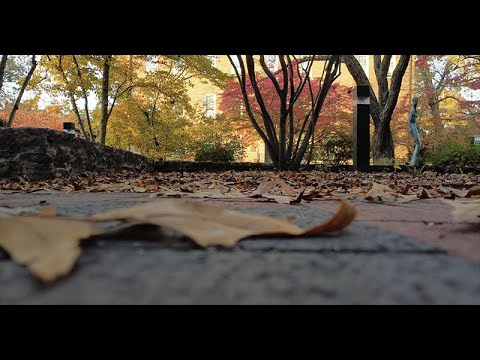 OU and Uptown Athens OH November 2021