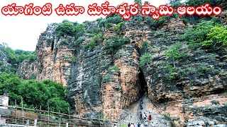 రాయలసీమ పెళ్లి||యాగంటి ఉమా మహేశ్వర స్వామి ఆలయం||#fullvlog చూసేయండి #trending #viralvideo #రాయలసీమ