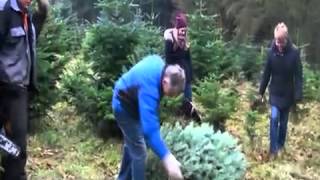 preview picture of video 'HNA-Aktion: Freudenthaler Familie gewann Weihnachtsbaum'
