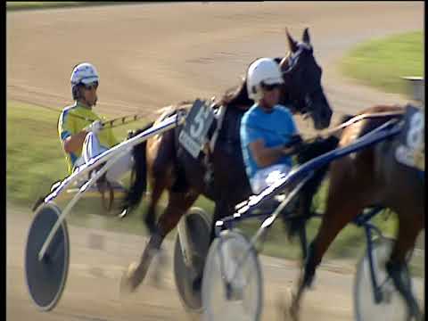 Trotto 21/06/2018 - 7ª corsa