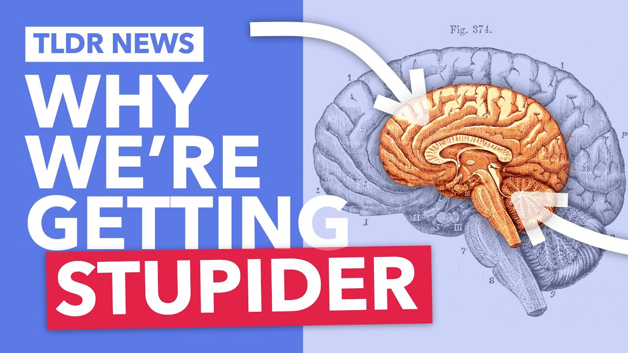 Why are our IQs Falling?