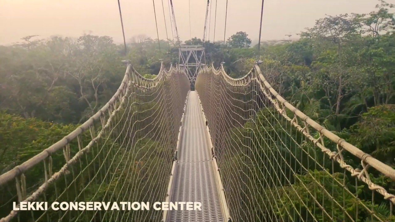 Lekki Conservation Center - Lagos Nigera