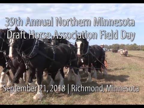 Northern Minnesota Draft Horse Association Field Day - 2018