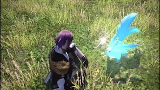 ［実況］MMO&amp;実況初心者が送るFF14 #60［橋の交通整理と、各ジョブクエ進行ー！］