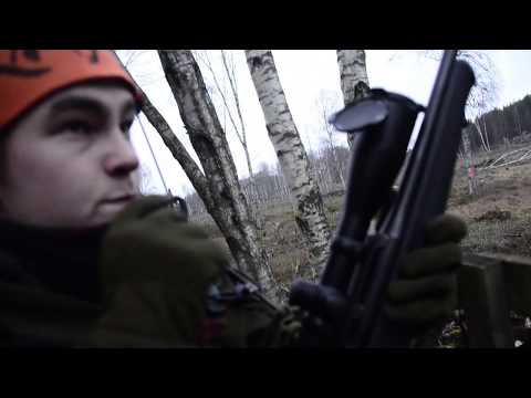 Årets bästa drevjakt