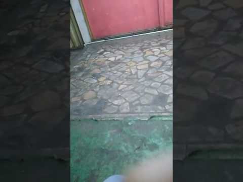 Şerafettin roman havası