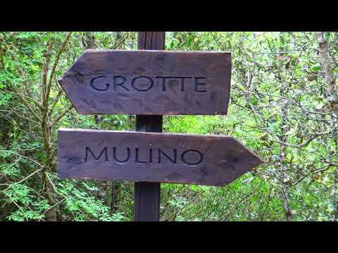 Cilentano.it presents: Oasi WWF of Morigerati, Salerno, Campania, Italy - Cilento 4k
