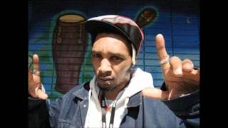Del Tha Funkee Homosapien - Future Development