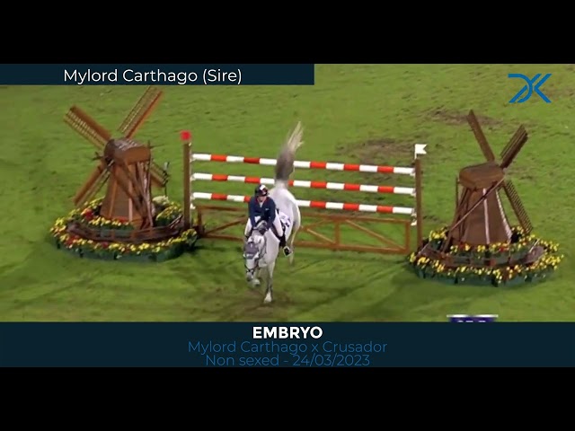 25 Non sexed embryo Vent du Sud