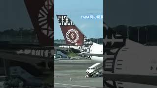 2024.9.4〜7  1泊4日の弾丸フィジー旅行　成田空港にて　#フィジー旅行　#fiji #弾丸旅行