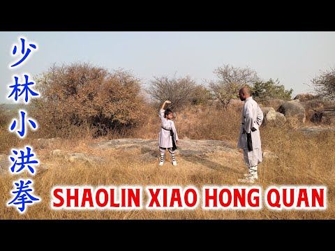 Shaolin Xiao Hong Quan | Authentic Traditional Shaolin Kungfu Training for Kids