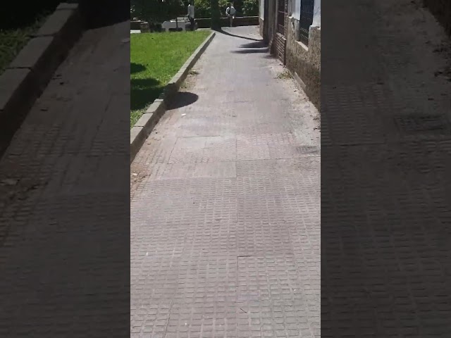 Vídeo relacionado con Palacios y Alcázares de España: Alcazar de los reyes cristianos, La alhambra, El Generalife, Medina Azahara, Alcazar de Segovia, La Granja de San Ildefonso. (Tesoros Everest del arte español)