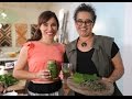 Kawakawa Tea/Iced Tea and Wild Herb & Garlic Oil by Jessica Hutchings