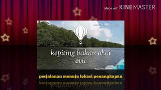 preview picture of video 'Kepiting bakau ohoi evu'