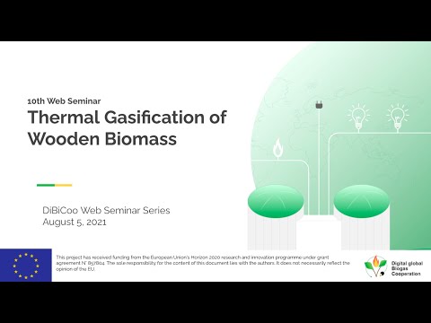 10th Webinar Series: Thermal Gasification of Wooden Biomass