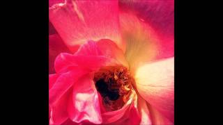 TRUST : RESCUE, MISTER