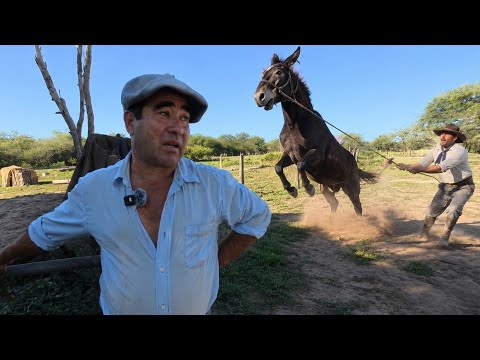 Así es la VIDA de un PEÓN en el MEDIO del MONTE | Quimilí - Santiago del Estero
