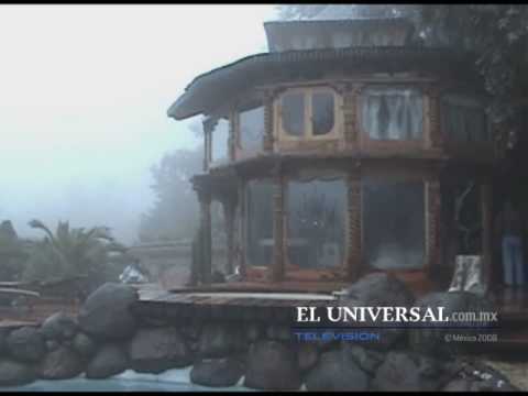 Decomisan leones, tigres y panteras en narco casa del DF