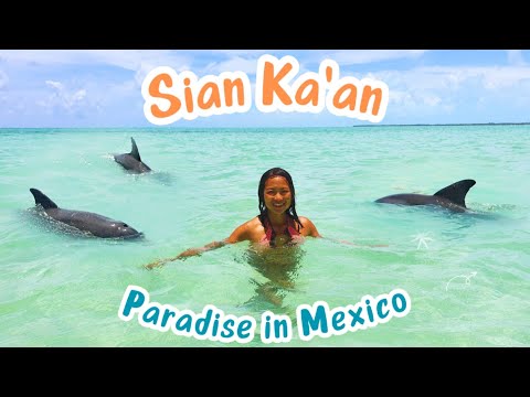 Mexico's Best Kept Secret Paradise: SIAN KA'AN Biosphere Reserve | Mexico Holiday