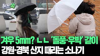 "뭐 이런 소나기가 다 있나 싶을 겁니다" 5mm 밖에 안내리는데 와중에 돌풍·천둥·번개 심지어 우박까지 내린다 [뉴스쏙] / 연합뉴스TV(YonhapnewsTV)