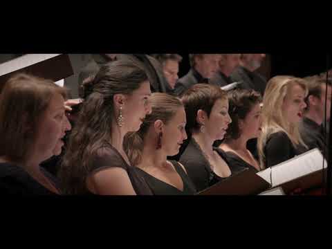 Stingray Festival 4K - Premiere 24 December 2018 - Opera Imaginaire