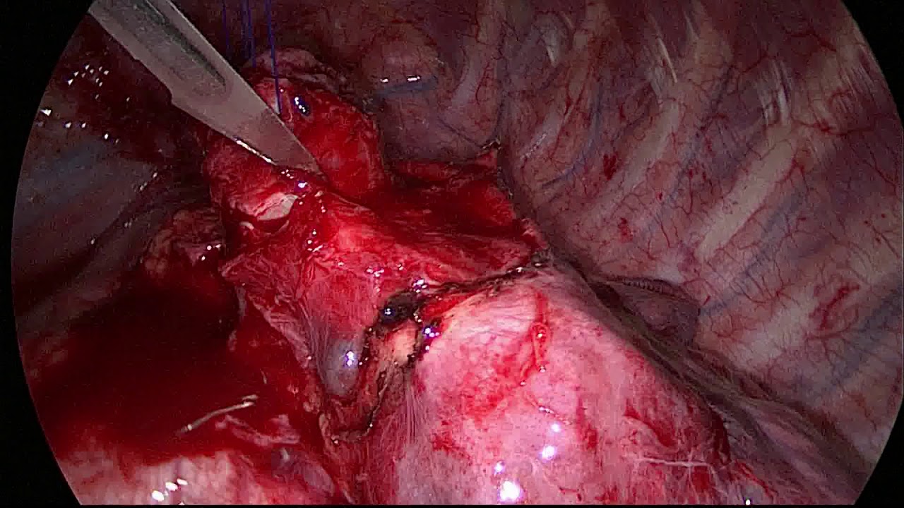 Tales Rubens De Nadai-18