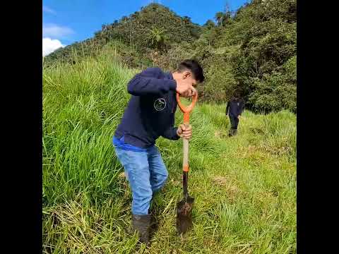 Reforestación en Gonzalo Díaz de Pineda El Chaco Napo Ecuador 10 Junio 2026 #diegopiñan #wildiegos
