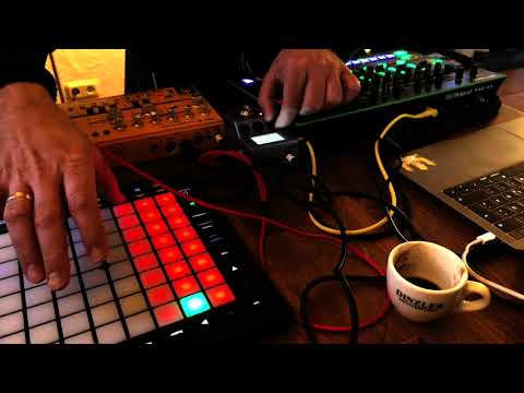 Jamuary 2021, 02 - Melodic Acid Techno Live Jam - Roland TR 8, Behringer TD 3, Zoom MS 70CDR