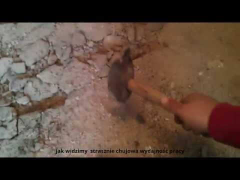 Niemiecki pigułka potencja Przywrócenia siły w leczeniu przewlekłego zapalenia gruczołu krokowego