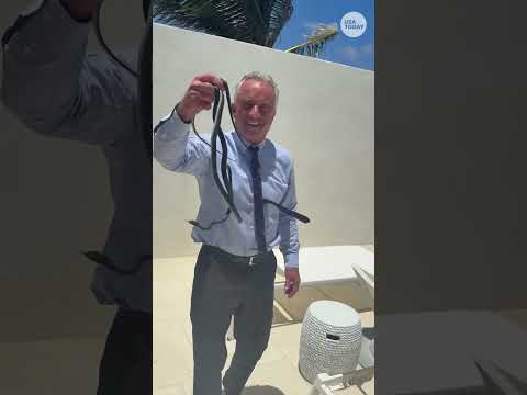 Watch RFK Jr. wrangle snakes with his bare hands on Dr. Oz’s patio