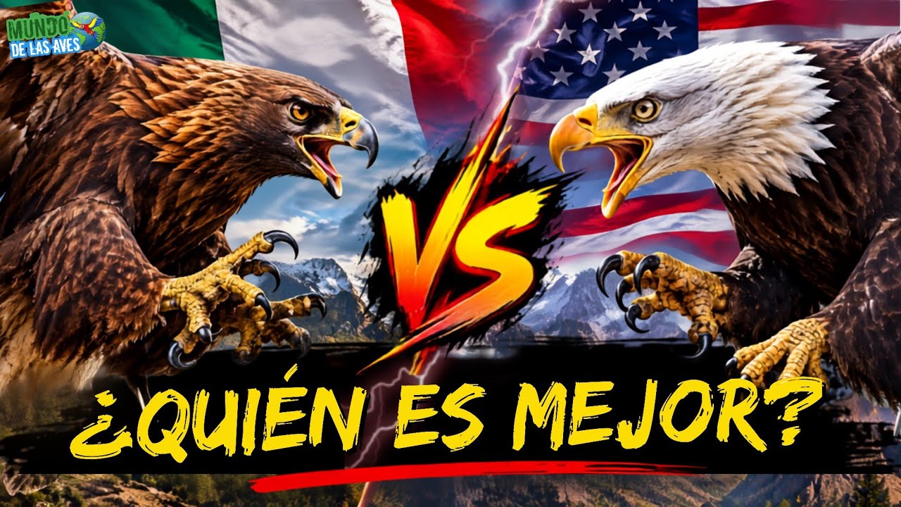 México vs Estados Unidos ¿Quién Tiene el Aguila MAS PODEROSA?