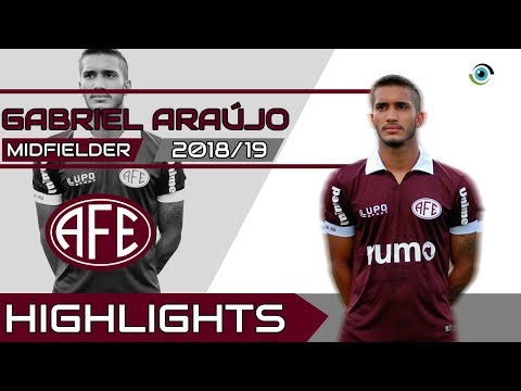 Gabriel Araújo - Volante/Defensive Midfielder - Ferroviária - 2018/19