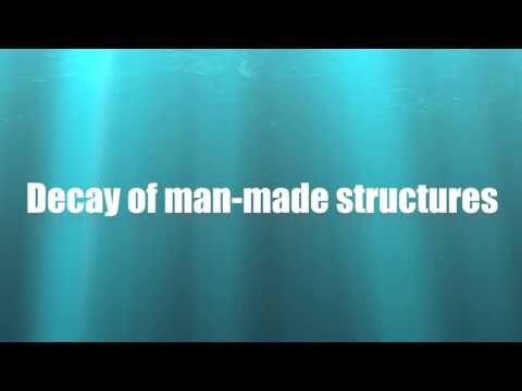 The Dangers of Acid Rain