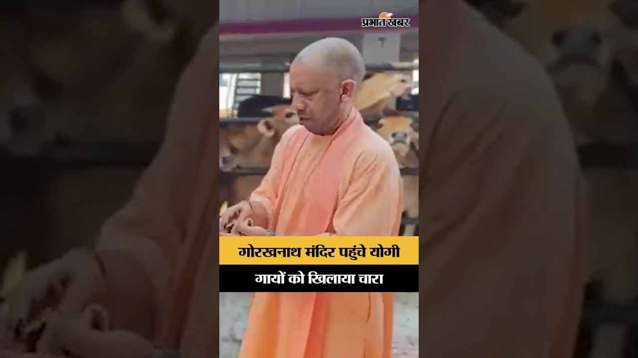 Gorakhnath मंदिर में CM Yogi ने की गौसेवा, गायों को खिलाया चारा