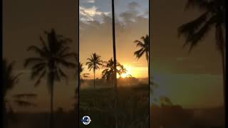Download lagu SUNSET DI DESAKU | STORY WA KEREN || FREE FOOTAGE || FREE BACKSOUND #shorts mp3 Download lagu SUNSET DI DESAKU | STORY WA KEREN || FREE FOOTAGE || FREE BACKSOUND #shorts mp3