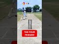 Running Between The Wickets In Cricket Shorts