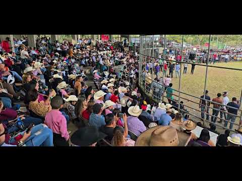 SAN PEDRO DE LOVAGO CH FIESTAS PATRONALES 2026