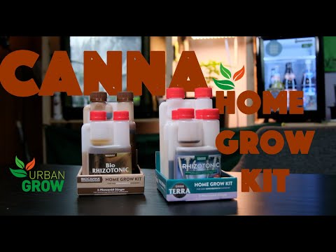 Organisch und mineralisch? // Pieter Klaassen erklärt die Canna Home Grow Kits und ihre Unterschiede