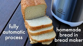 bread recipe for bread machine without bread flour