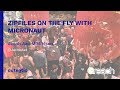 Zipfiles on the Fly with Micronaut - Jacob Aae Mikkelsen