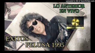 PELUSA 1995 en vivo-Exitos Inolvidables(Lo Anterior)