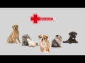 Royal Canin VD Dog Small Hypoallergenic 1kg