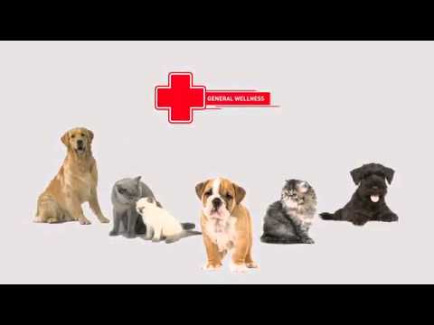 Royal Canin VD Dog Hepatic 12kg video